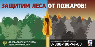  О подготовке к пожароопасному сезону в Костромской области - фото 1
