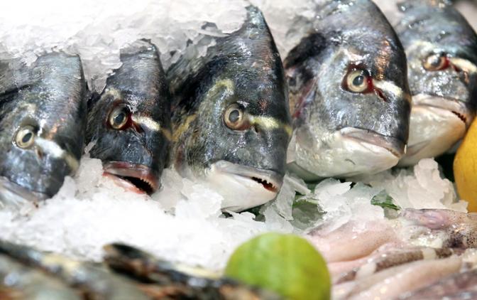  Нас кормят смертельно опасной рыбой? - фото 1