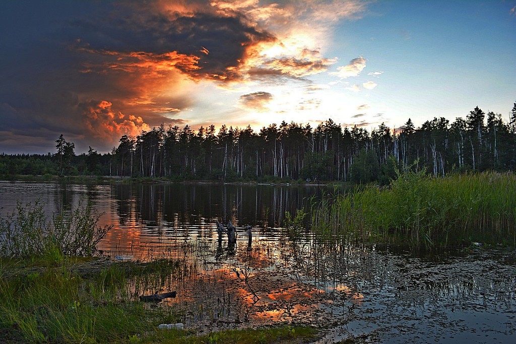  Красота земли нашей в фотообъективе Александра Тулупова (Тамбовская область) ч.4 - фото 21