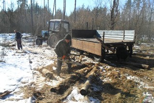  В лесничествах Воронежской области стартовала акция «Чистый лес» - фото 1
