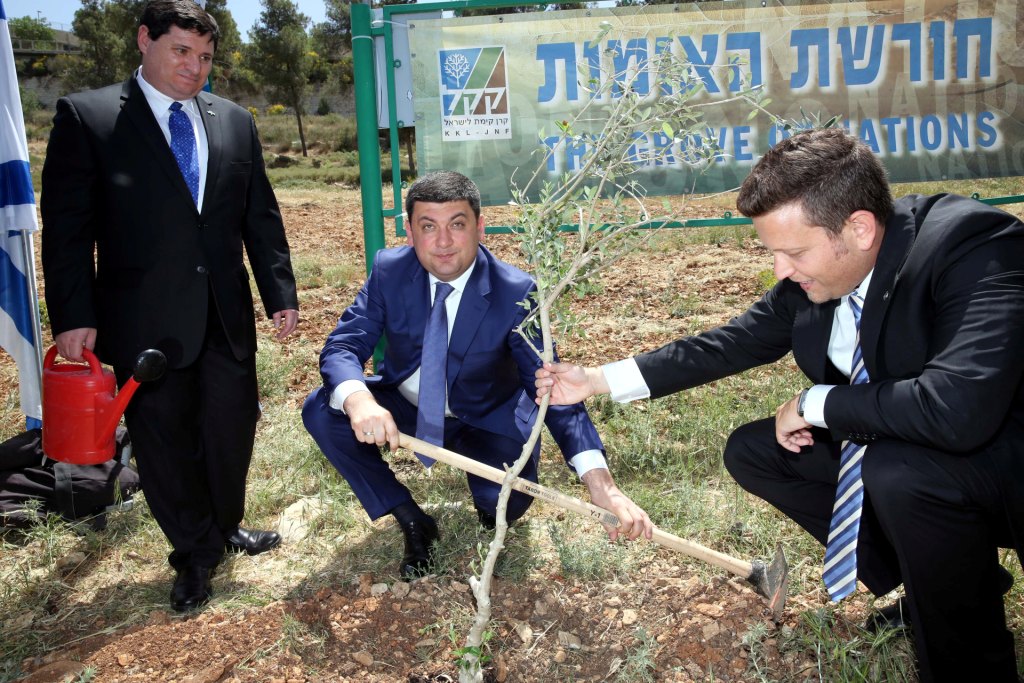 Премьер-министр Украины посадил оливковое дерево в Иерусалиме - фото 1