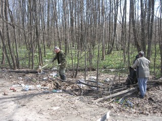 В лесничествах Воронежской области продолжается акция «Чистый лес» - фото 1