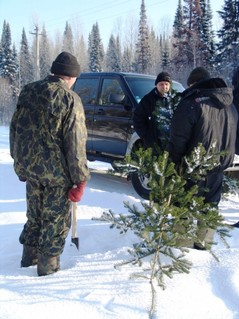 В Калужской области продолжается работа  по выявлению нарушений лесного законодательства - фото 1
