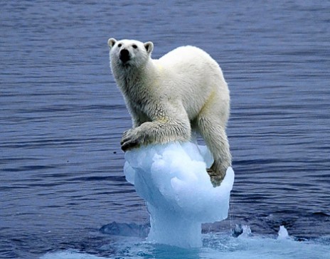Ученые предупредили о риске климатической катастрофы из-за выбросов метана в Арктике - фото 1