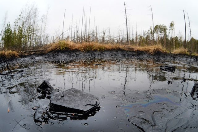 Российским планам по охране природы Арктики мешают нефтяные разливы - фото 1