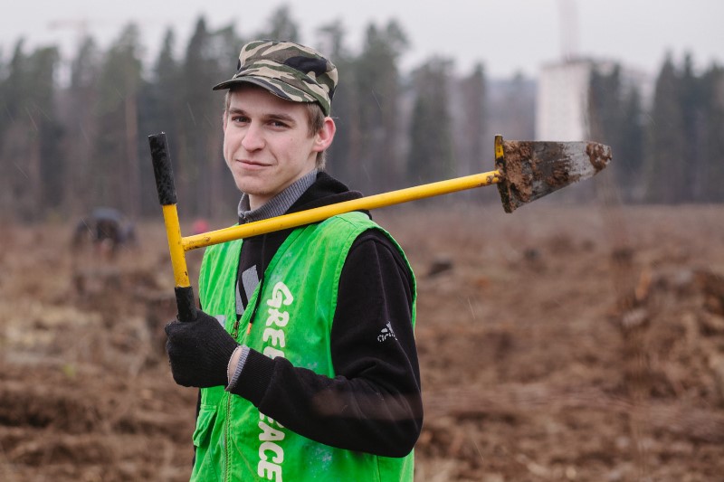 Волонтёры Гринпис высадили 135 тысяч деревьев на месте погибшего леса - фото 1