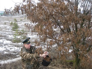  В лесничествах Воронежской области продолжается активный сбор семян древесных пород - фото 1