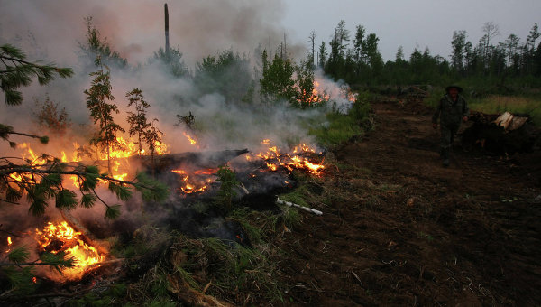  Всем миром на борьбу с лесными пожарами - фото 1
