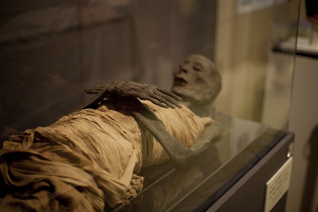  Стало известно, для чего мумиям из Горного Алтая сделали рентген в Эрмитаже - фото 1