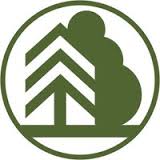  Департамент лесного хозяйства по ЦФО определяет  основные направления работы на ближайший период - фото 1