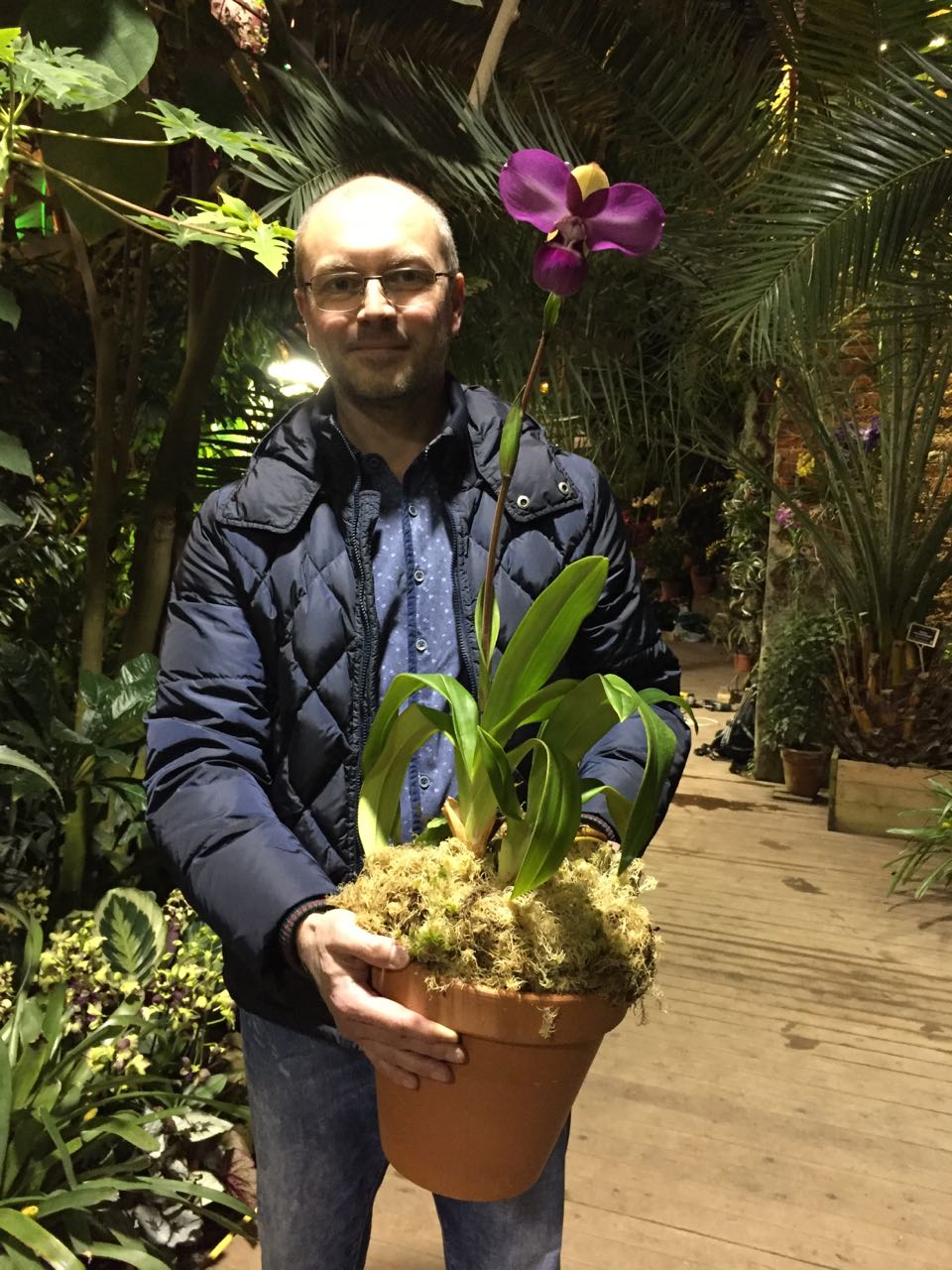  Впервые в России в "Аптекарском огороде" представили крайне редкую орхидею Фрагмипедиум Ковача 24 декабря - фото 3