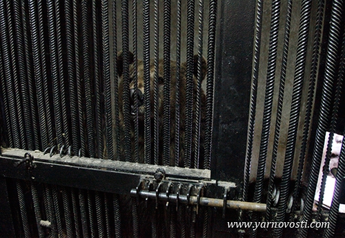  В Ярославском зоопарке медведей Умку и Топтыжку уложили спать - фото 5
