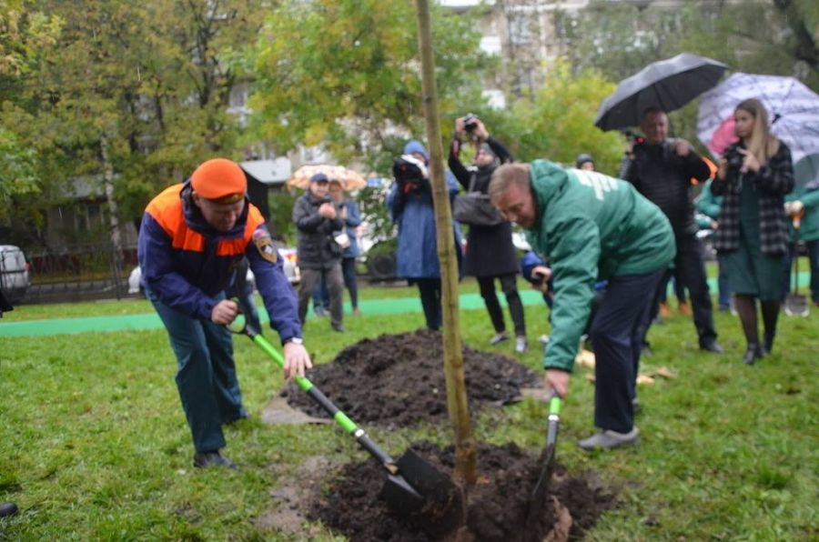 «ЭкоГрад» увидел, как Антон Кульбачевский и Павел Барышев заложили аллею деревьев на Кременчугской улице - фото 6
