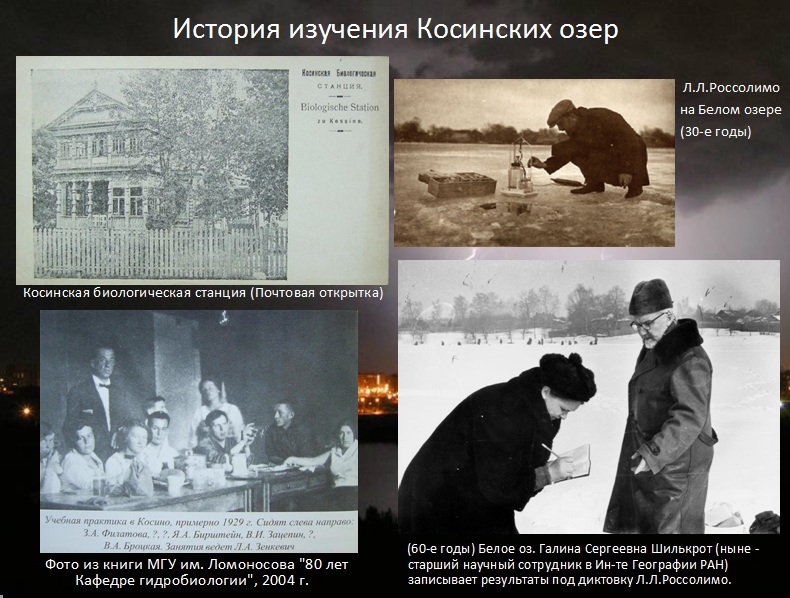 Защита дипломных работ по изучению природы Косино-Ухтомского района г. Москвы - фото 54