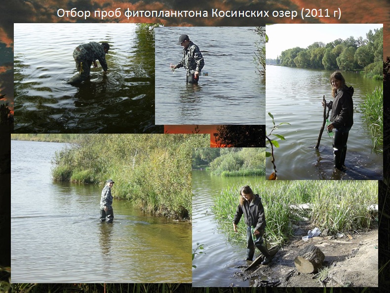 Защита дипломных работ по изучению природы Косино-Ухтомского района г. Москвы - фото 55