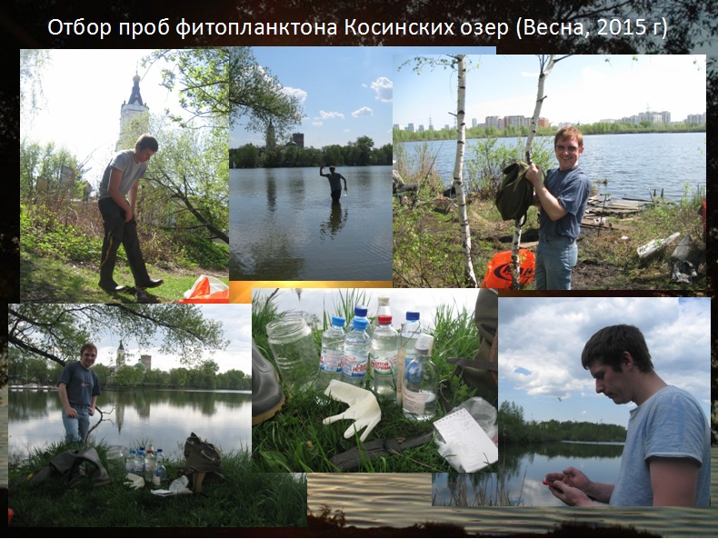 Защита дипломных работ по изучению природы Косино-Ухтомского района г. Москвы - фото 56