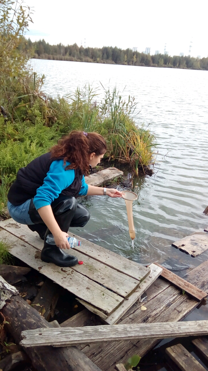 Изучение планктонных организмов Косинских озер - фото 5