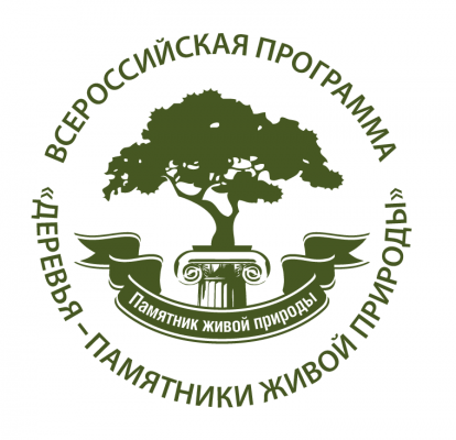 Всероссийская программа «Деревья – памятники живой природы» в действии - фото 1