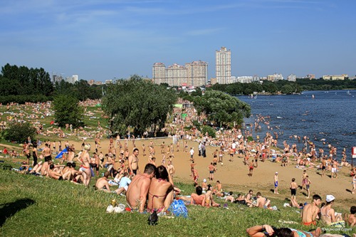 В Роспотребнадзоре разрешили купаться на девяти пляжах Москвы - фото 1