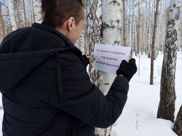 Деревья под защитой: новая акция активистов Екатеринбурга  - фото 6