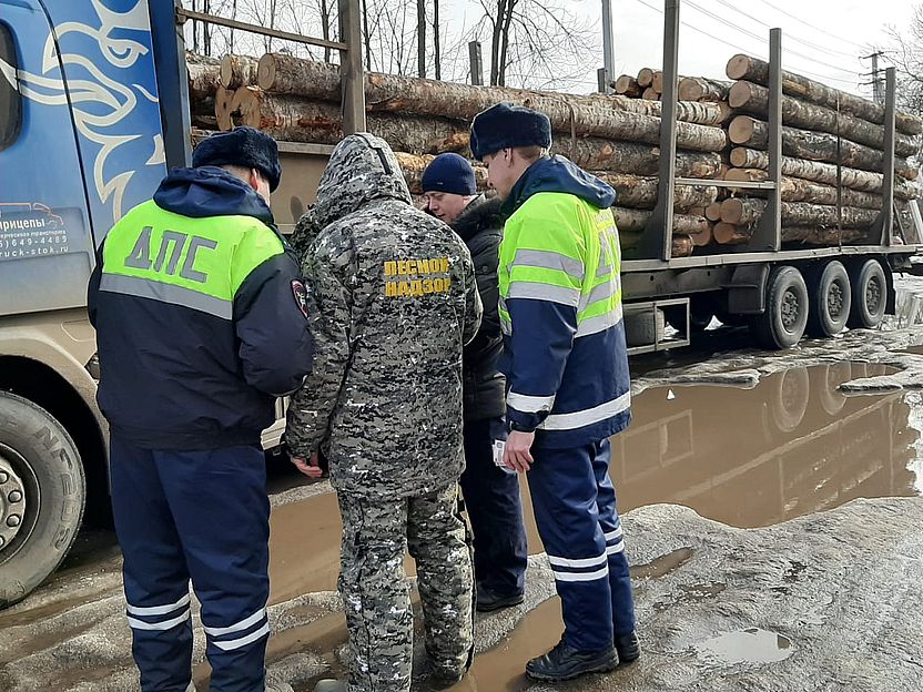 С начала года в Ярославской области выявлено 6 нарушений транспортировки древесины - фото 1