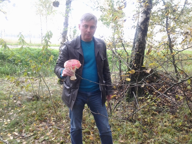 Антон Кульбачевский и тест на экологическое состояние участка леса   - фото 2