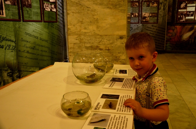 В  Дарвиновском музее  отметили День юного эколога  - фото 2