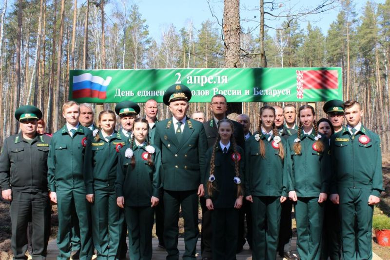 Единение лесоводов России и Беларуси - фото 1