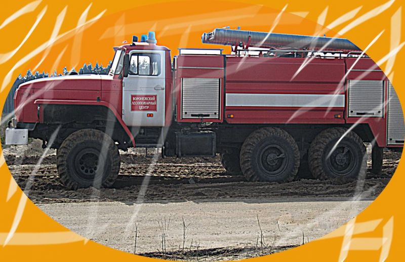 Лесные пожарные помогли потушить пожар в селе Хреновое Воронежской области - фото 1