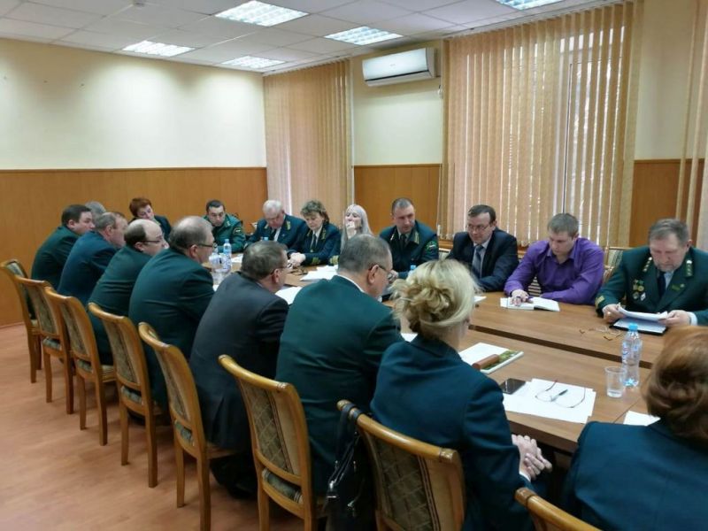 В Калужской области готовятся к лесокультурному и пожароопасному сезону  - фото 1