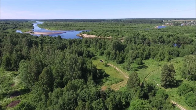 Повышенный уровень пожароопасности в лесах Костромской области ожидается в июле - фото 1