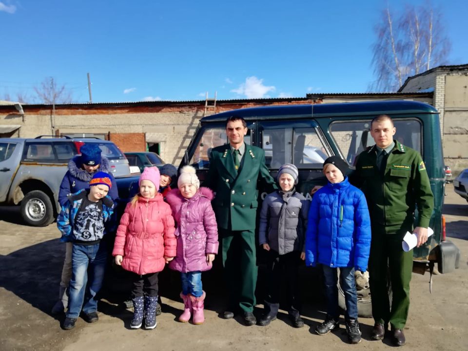 Во Владимирской области подвели итоги мероприятий в честь Международного дня лесов - фото 1