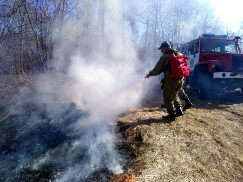 В Смоленском лесничестве зарегистрирован очередной лесной пожар - фото 1