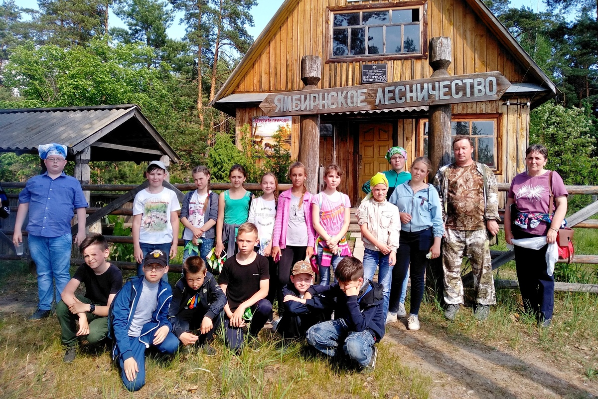 Школьники Рязанской области побывали на экскурсии в Ямбирнском лесничестве - фото 1