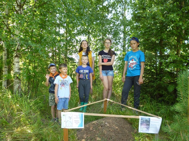 Экологическая акция «Муравейник» прошла в Вохомском районе Костромской области - фото 1