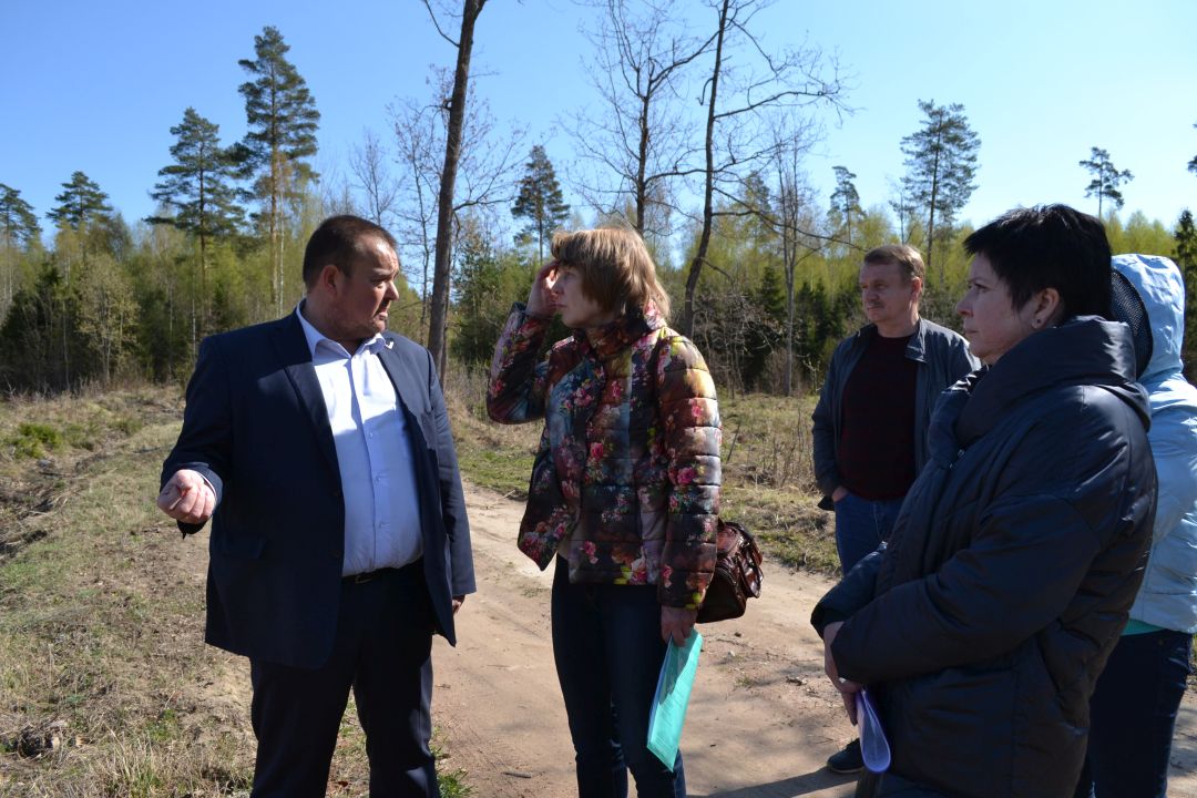 Владимирский департамент лесного хозяйства проверил качество лесовосстановительных работ в Киржачском районе - фото 1