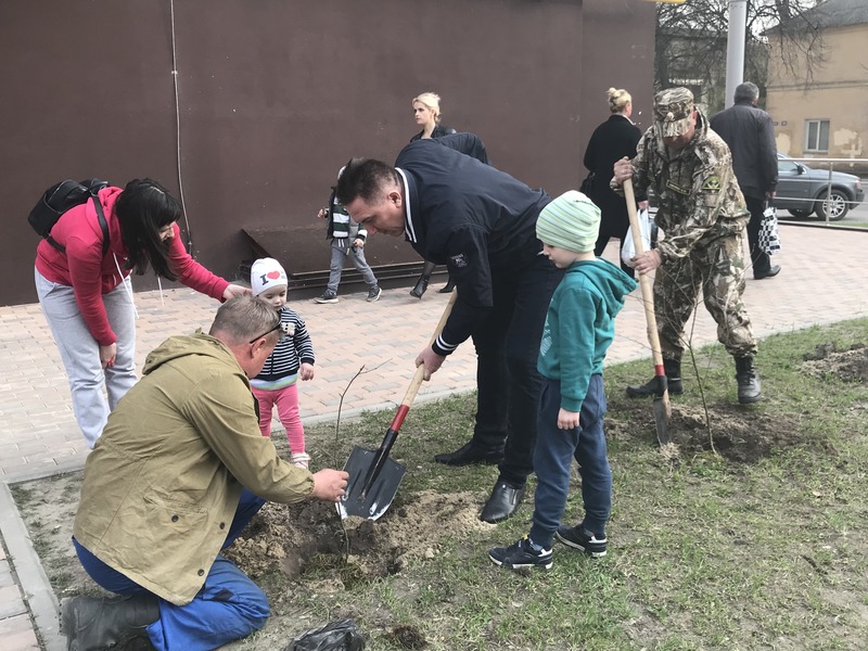 Акция «Посади дерево» прошла в Брянске - фото 1