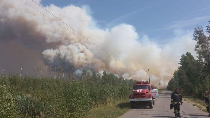 Поселок Стеклянный в Нижегородской области сгорел дотла    - фото 1