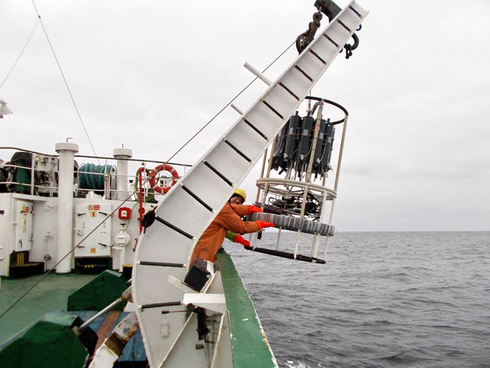  Более 40 000 кв.км акваторий Карского и Баренцева морей исследовали для оценки экологических последствий при разработке месторождений нефти и газа  - фото 5