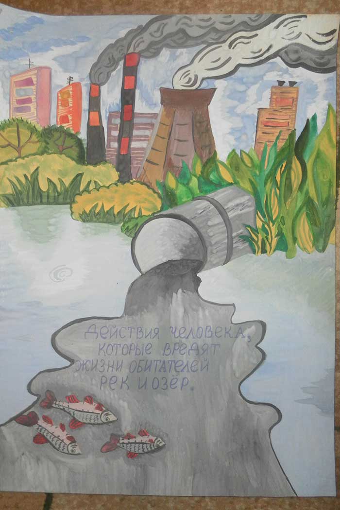 Плакаты номинации "Мы за чистые города России". Череповец 2013  - фото 7