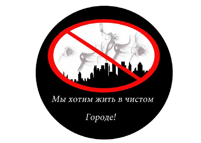 Плакаты номинации "Мы за чистые города России". Череповец 2013  - фото 11