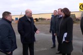Освенцим не для коров: экологи аплодируют президенту Лукашенко, который заступился за коров - фото 1