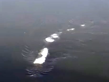  Видео: Таинственное чудовище всплыло у берегов Аляски - фото 1