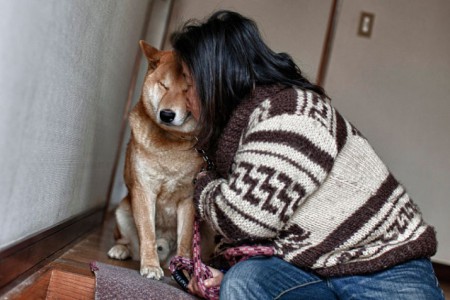  Потерявшийся пес, неделю ждет хозяина на остановке в Купчино - фото 1