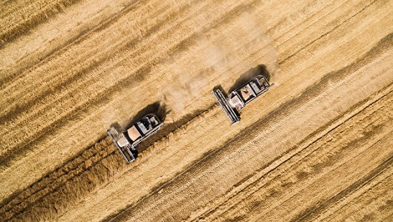  Россия становится зерновой сверхдержавой в связи с резким ростом экспорта пшеницы - фото 1