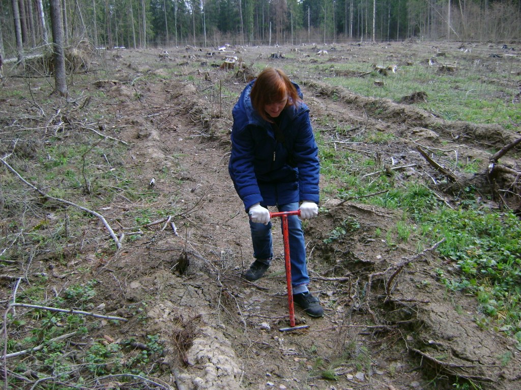 14 Лунка для саженца готова