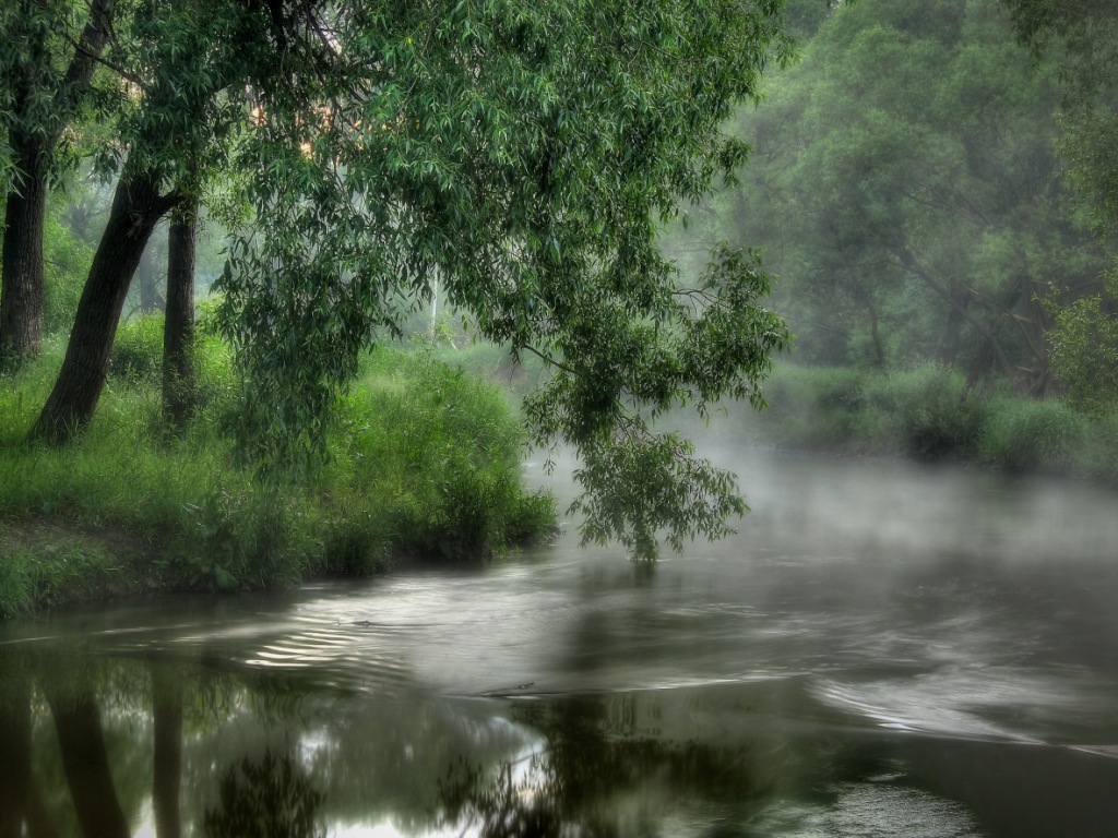  Эколологический квест, посвященный Дню биоразнообразия, пройдет в заказнике "Долина реки Сетунь"  - фото 1
