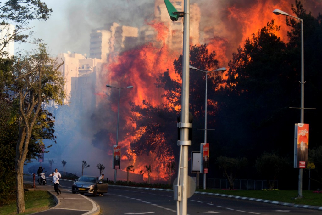 В Израиле из-за лесных пожаров эвакуировали 60 тысяч человек  - фото 1