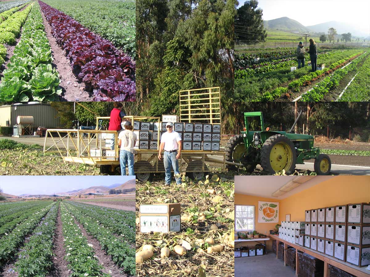an analysis of organic farming in the united states food industry and agriculture an analysis of organic farming in the united states food industry and agriculture
