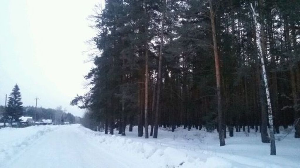  Зимние пейзажи  - фото 21